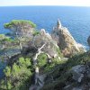 lloret 5